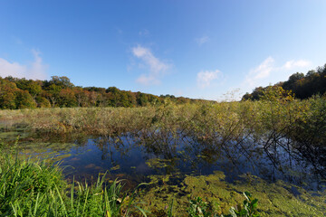 Fototapeta na wymiar Commelles lake in the Oise - Pays de France Natural park 