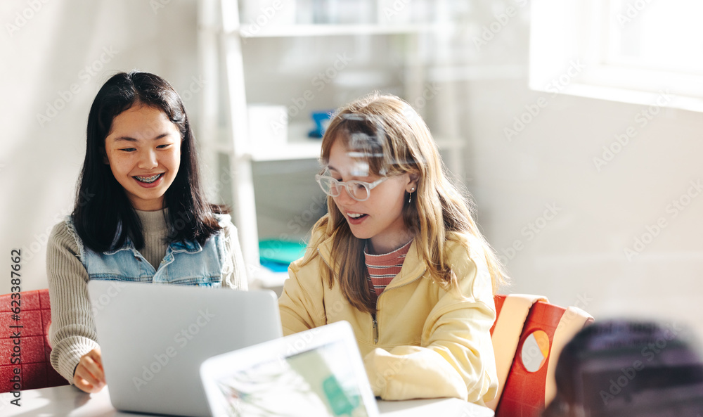 Wall mural girls enjoy participating in a computer science lesson as a pair