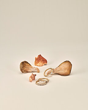 ring, diamond, band, mushroom, nature, neutral, nature, isolated, white, brown, leaf, macro, close-up, closeup