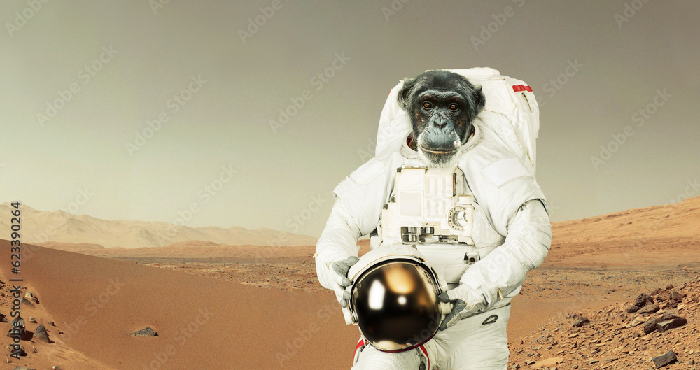 Aufkleber Monkey astronaut in a space suit with a helmet stands in the desert on the red planet Mars. Animal spaceman on mission and exploring new planets. Smart chimpanzee, concept. Animal experiments