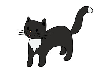 Hand drawn cat clipart. Cute pet doodle