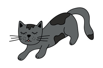 Hand drawn cat clipart. Cute pet doodle