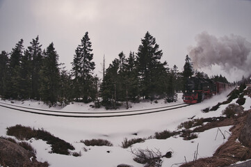 Steam locomotive narrow gauge railway on the Brocken mountain in the Harz mountains in Germany