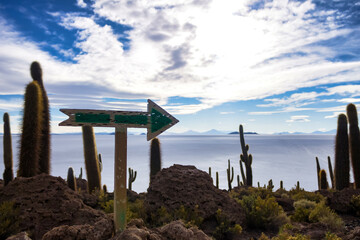 Landscape photo of wild nature salt flat with cactuses island, signpost plate arrow. Scenery view...
