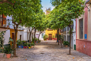 Plaza en el Barrio de Santa Cruz de Sevilla, una plaza típica con casas de colores y naranjos - obrazy, fototapety, plakaty