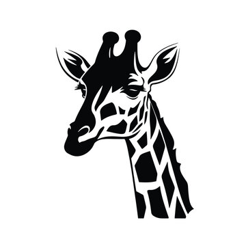 Giraffe head vector, logo, illustration isolated on white background
