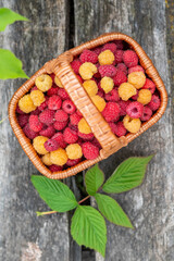 Red and yellow raspberries in a basket on a gray background, top view.
