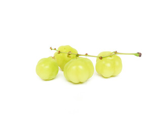 fresh organic sour gooseberry laying on white background small gooseberry Contains antioxidants to help slow down aging Help in matters of the excretory system.  and is high in vitamin C.