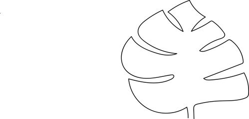 hand drawn vector illustration of a leaf