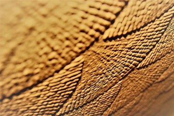 Scaly backdrop. Beige abstract background texture.