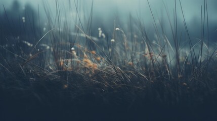 Fototapeta na wymiar Gloomy meadow. Gloomy landscape. Generative AI
