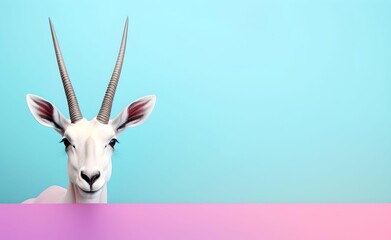 Creative Animal Concept. Arabian Oryx peeking over pastel bright background. Generative AI.