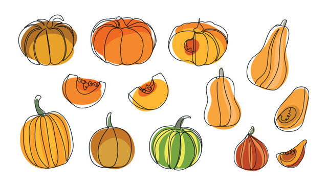 Different types of pumpkins set hand drawn in doodle style. Continuous line drawing pumpkins. Autumn pumpkin line art set.