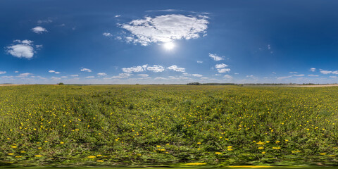 spherical 360 hdri panorama among dandelion flower field with clouds on blue sky with sun in...
