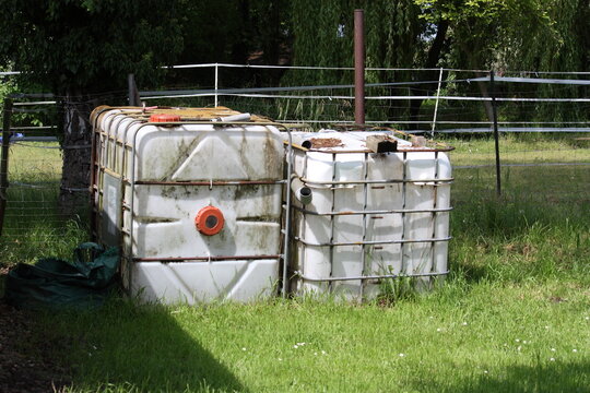 In einem verwilderten Garten abgelegte 1000 Liter Regenwassertanks
