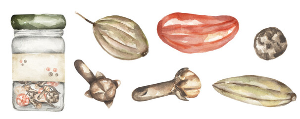 Watercolor illustration of spices illustration. Black papper, clove, coriander seed, fennil seed, gogii berry clipart. Use to create menus, packaging, patterns, prints.