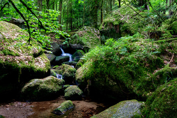 Small Waterfall in the Black Forest, Gertelbach Waterfall near to Buehlertal and near Baden-Baden - obrazy, fototapety, plakaty