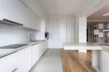 Kitchen interior with white cabinet and integrated appliances