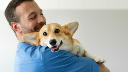Friendly man vet in blue uniform cuddling, embracing pembroke welsh corgi dog, doctor carrying and playing with little dog after treatment, panorama, empty space
