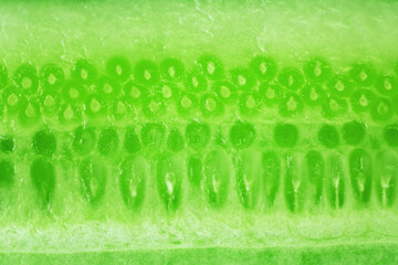 Macro view of fresh green cucumber cut in half