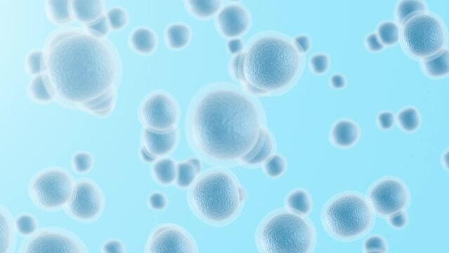 Microscopic human cells background. Seamless loop 4k	
