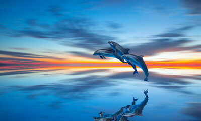 Group of dolphins jumping up from the sea amazing sunset in the background - Beautiful seascape with Solar eclipse