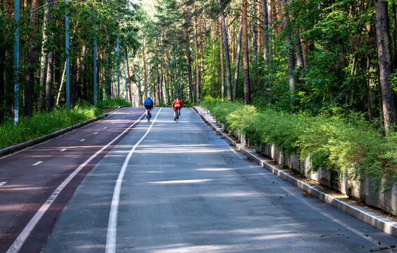People on bicycles are riding along the road in the forest.