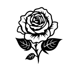 Fototapeta na wymiar rose flower vector illustration