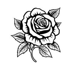 rose flower vector illustration