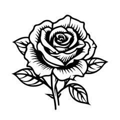 rose flower vector illustration