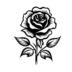 rose flower vector illustration