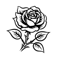 rose flower vector illustration