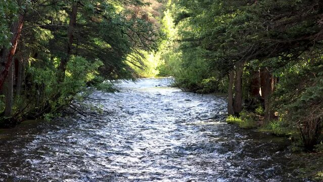 River in Rocky Mountain National Park, Estes Park Colorado Landscapes, River in Colorado