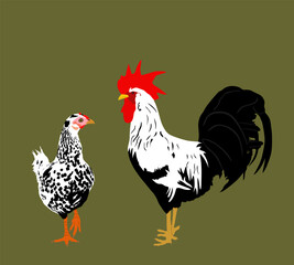 Elegant Rooster and chicken couple vector illustration isolated on background. Male chicken and hen. Farm chantry cock. Organic food symbol. Poultry bird family.