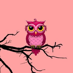 owl sitting on branch