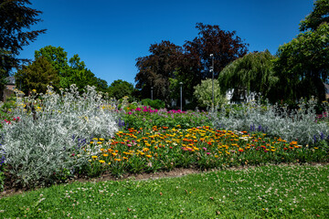various colors of flowers and plants in a large park in germany in wassenberg