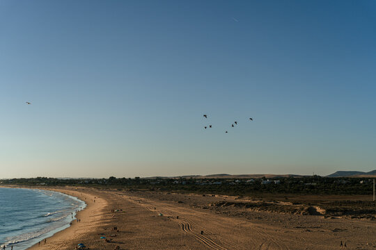 Imagen de la playa de trafalgar al atardecer con bandada de pájaros sobrevolándola 