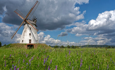 Windmühle Veltheim in Wildblumenwiese