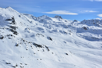 Bella Tola