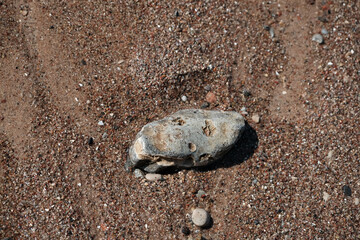 interesting rock on the beach of the Baltic sea