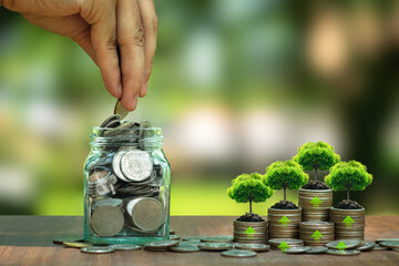 Tree on stack of silver coins and hand filling glass jar with coins. green business ideas Finance...