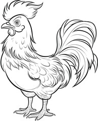 Rooster coloring pages vector animals