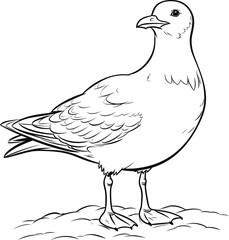 Seagull coloring pages vector animals