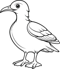 Seagull coloring pages vector animals