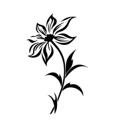 flower vector illustration 