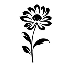 flower vector illustration 
