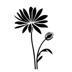 flower vector illustration 