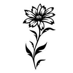 flower vector illustration 