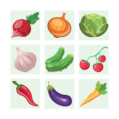 Set of fresh healthy vegetables. Modern flat style realistic vector illustration icons isolated on white background.