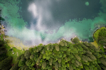 Green pine tree forest at emerald lake. Aerial drone view, top down. Beauty in nature